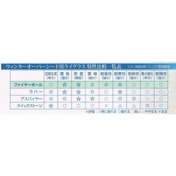 【新発売】【西洋芝種子】ペレニアルライグラス|ファイヤーボール【1kg入り】カネコ種苗製