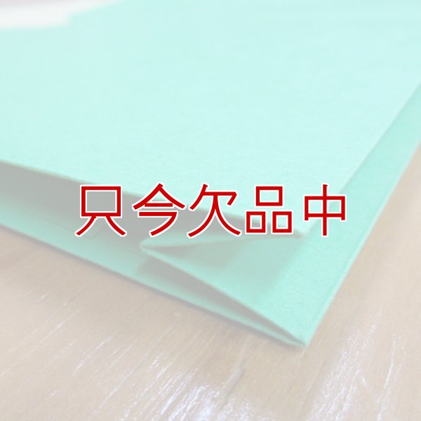 【SMEAD】レターサイズ ファイルジャケット （5個入り・グリーン）SMEAD75563 Letter Size File Jacket