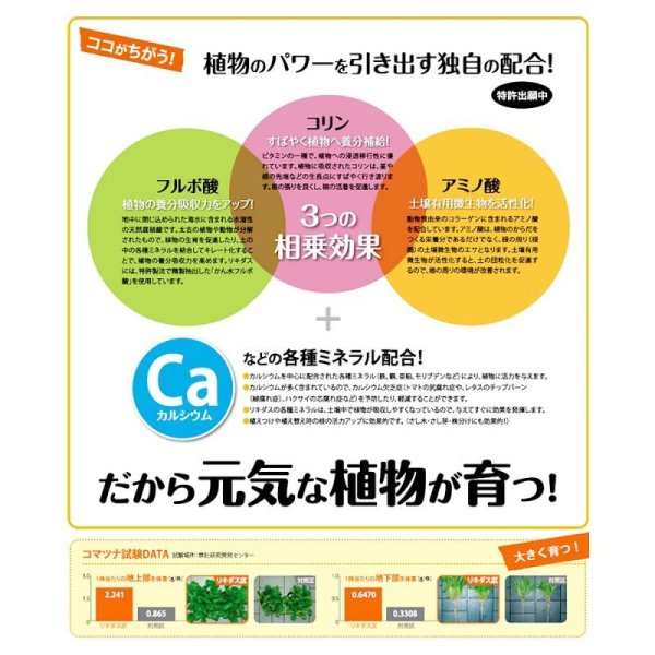 ハイポネックス リキダス【800ml】