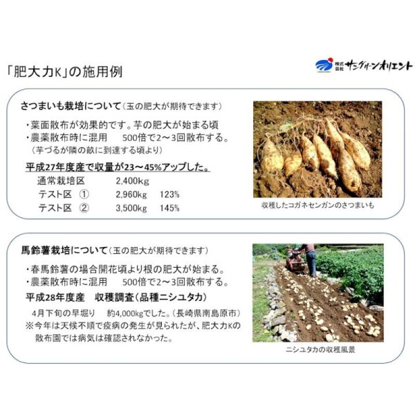 肥大力K　肥大促進カリウム葉面散布肥料【2kg】