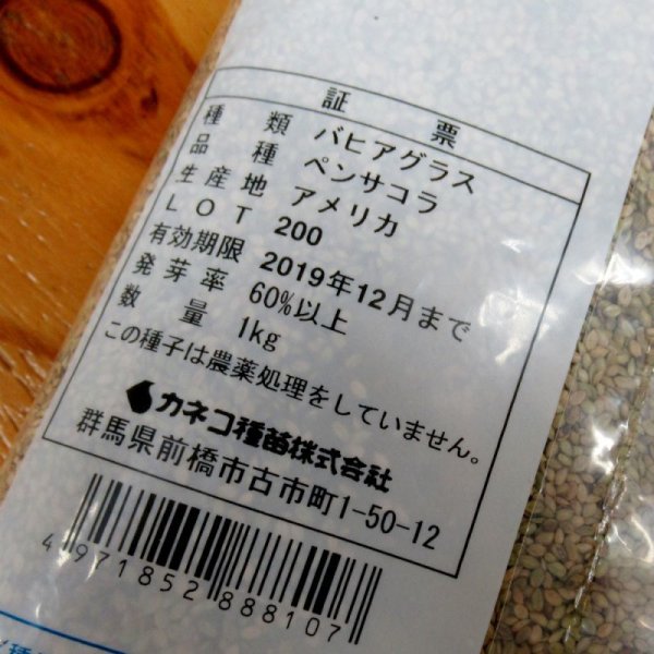 バヒアグラス|ペンサコラ