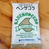 牧草種子】イタリアンライグラス｜さつきばれEX【1kg】中生種｜中期