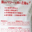 天然かき殻粉末石灰「かきパワー」【20kg】宮城県産アルカリ50％