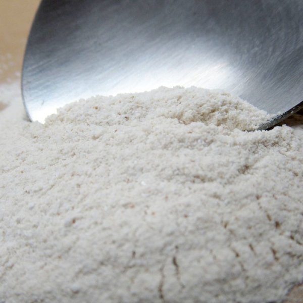 ライゾー（RHYZO）【1kg】発根伸長促進粉末液肥【送料無料】