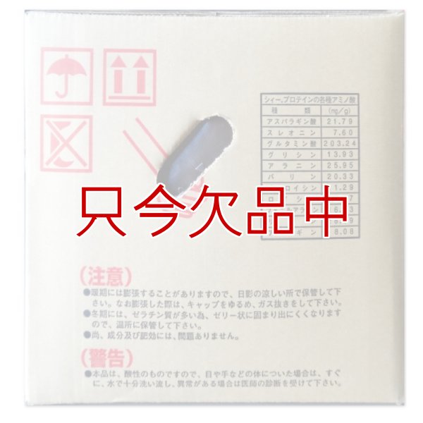 6.0フィッシュソリブル