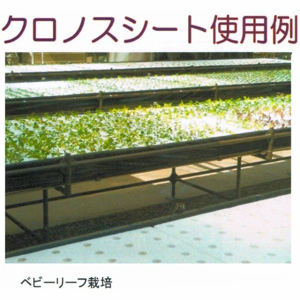クロノスシート(ブラック)0.15mmx1200mmx100m|EVA配合農業用特殊フィルム(水耕栽培用シート)