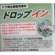 ドロップイン【1L】ケラ発生調査用資材（芝生養生）難防除害虫のケラ対策に