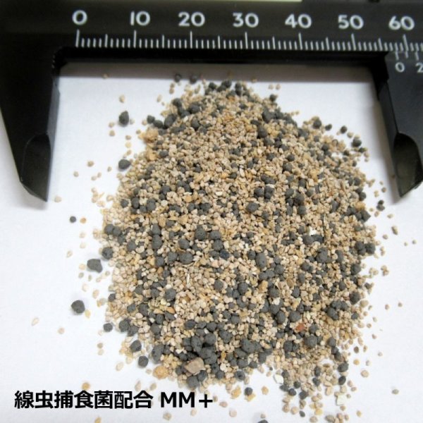 線虫捕食菌配合ケイ酸資材|MM+ |エムエムプラス