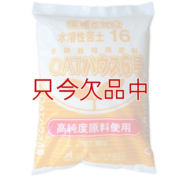 OATハウス6号