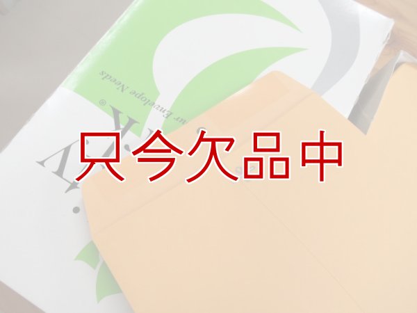 画像1: アメリカのクラフト封筒【Kraft Clasp Envelope】10 ｘ 15インチ（254ｘ381mm）【100枚入り/箱】Quality Park QUA37798 (1)