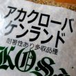 アカクローバケンランド