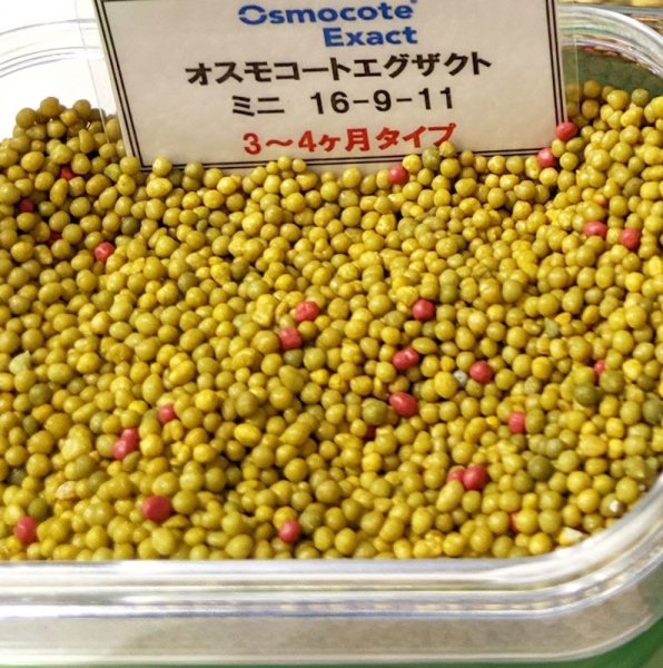 オスモコートエグザクト ミニ(16-8-11 / 3-4ヶ月)【10kg】
