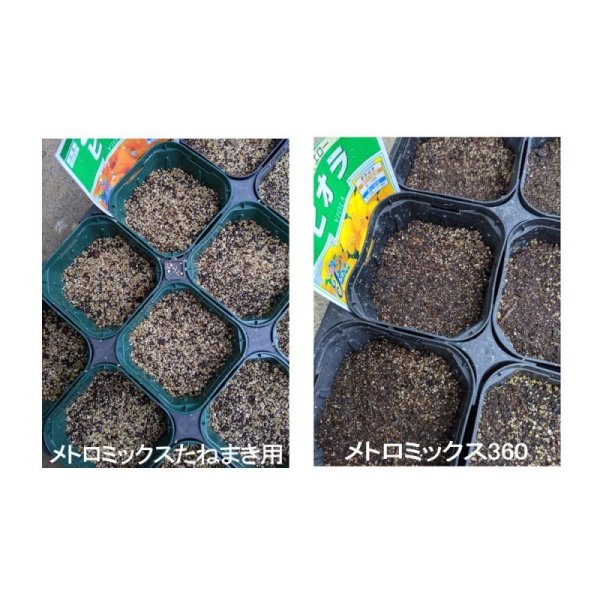 画像8: メトロミックスたねまき用【40L】Metro-Mix　たねまき用　ハイポネックス｜高品質な培養土（初期肥料入り）【陸送地域のみ】【日祭日の配送および時間指定不可】 (8)