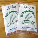 値下げ]【牧草種子】イタリアンライグラス｜ガルフ【中生種】【1kg