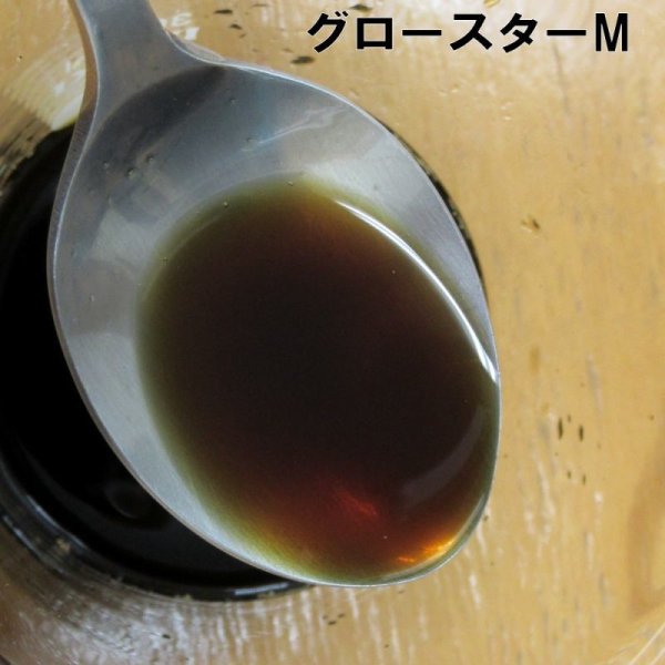 サンアグロ|グロースターM