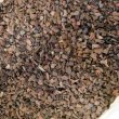 ニュージーランド産オーキッドバーク（生パインバーク）｜S粒（4-8mm）【50L】