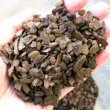 ニュージーランド産オーキッドバーク（生パインバーク）｜S粒（4-8mm）【50L】