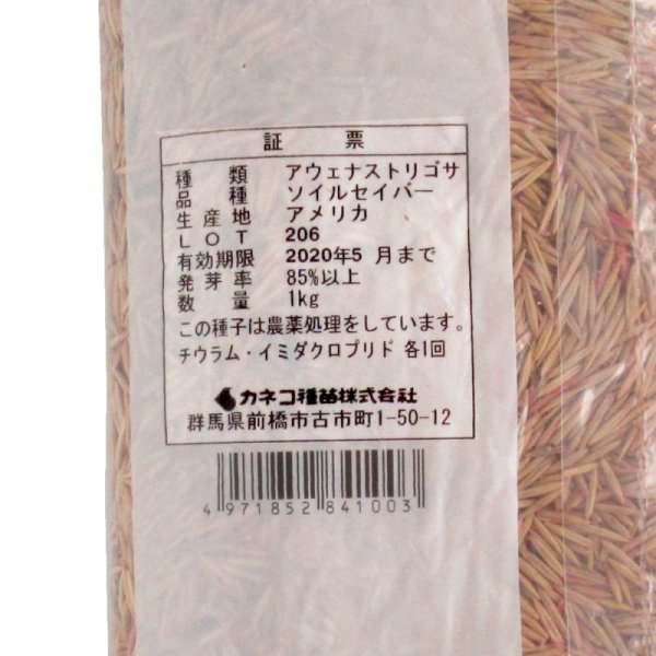 画像2: 【緑肥種子】【牧草種子】ソイルセイバー｜アウェナストリゴサ【1kg】硬盤破砕｜線虫抑制｜防風｜カネコ種苗製 (2)