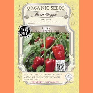 有機種子】ズッキーニ ブラックビューティー【大袋2dl】Zucchini