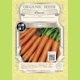 有機種子】水菜【大袋1dl】Turnip Top : Mizuna｜葉菜の有機種子