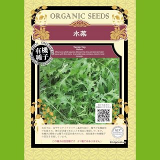 有機種子】ロケット/ルッコラ ベビーリーフ【大袋1dl】｜ベビーリーフ