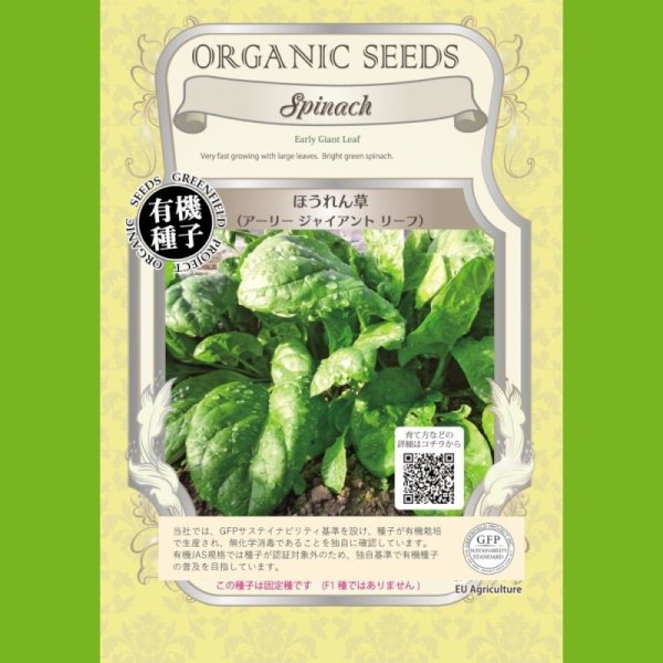 【有機種子】ほうれん草/アーリージャイアントリーフ 【大袋50ml】Spinach : Early Giant Leaf