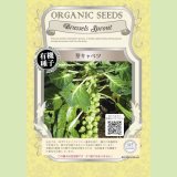 水菜商品 有機種子】水菜【大袋1dl】Turnip Top : Mizuna｜葉菜の有機種子