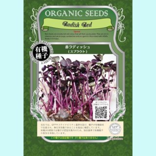 水菜商品 有機種子】水菜【大袋1dl】Turnip Top : Mizuna｜葉菜の有機種子