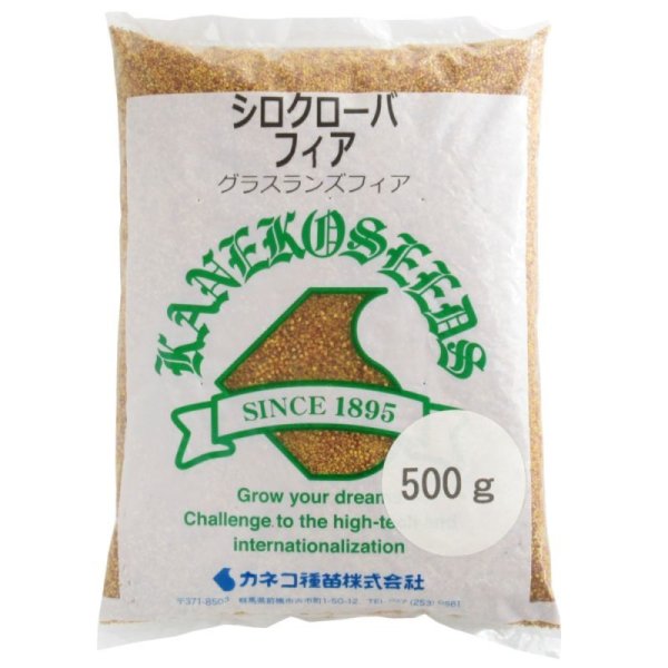 シロクローバ フィア