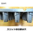 イチゴ育苗用トレイ カタツムリポット D24穴