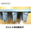 イチゴ育苗用トレイ カタツムリ C24穴プラス