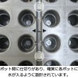 イチゴ育苗用トレイ カタツムリポット C32穴