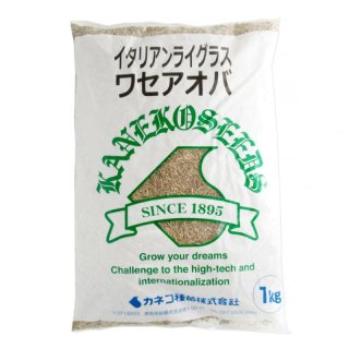 二条大麦｜ハヤドリ2【極早生種】【1kg】カネコ種苗製｜その他の飼料