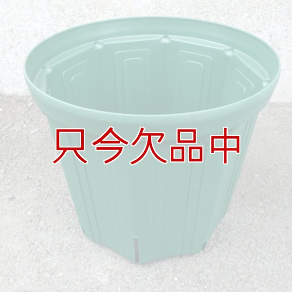 スリットポット 9号鉢 CSM-270