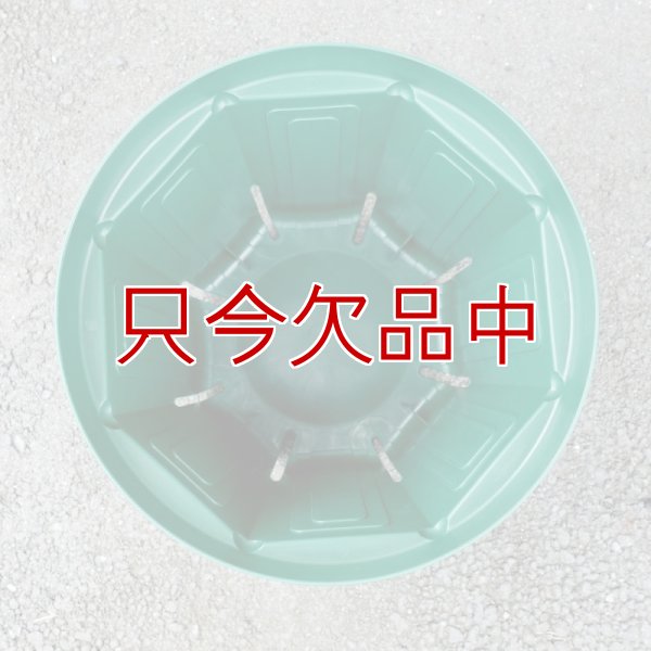 スリットポット 9号鉢 CSM-270