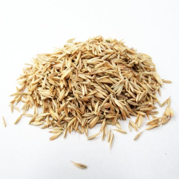 温暖地型混播種子セット（採草・放牧兼用）20a分 / 7.5kg