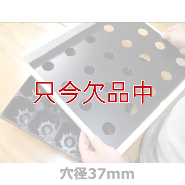 画像14: 【連結ポットトレー用】SSポッターSS35（20穴）【送料無料】 (14)