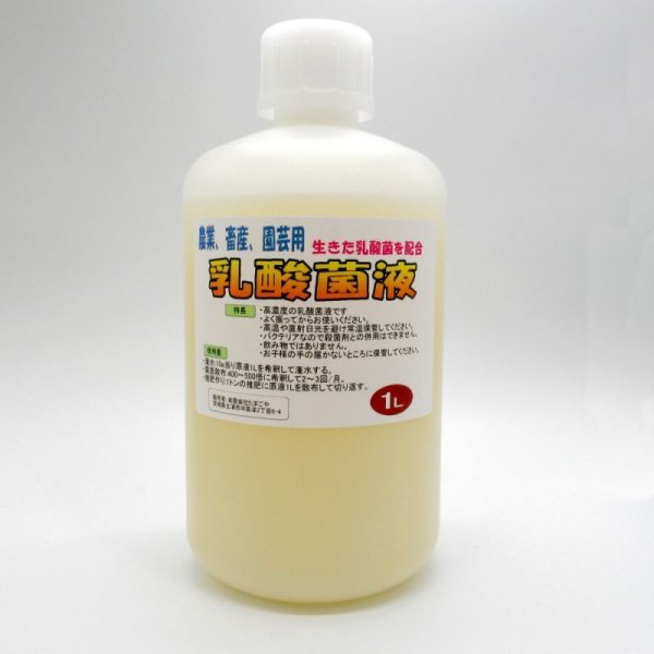 高濃度乳酸菌液【1L】