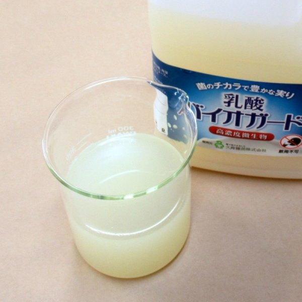 高濃度微生物 乳酸バイオガード 【10L】