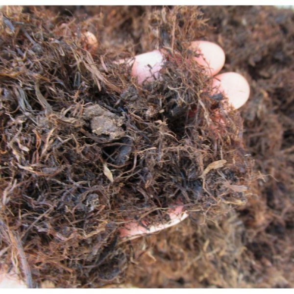 pH未調整【長繊維】北海道産ピートモス(50L)