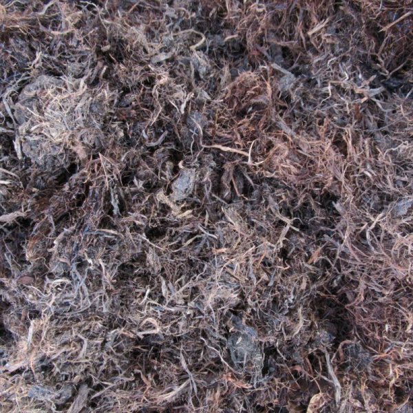 pH未調整【長繊維】北海道産ピートモス(50L)