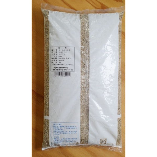 トールフェスク