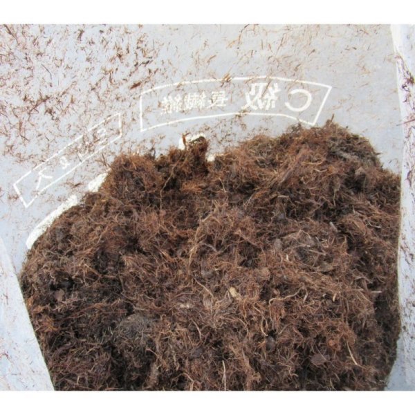 pH未調整【長繊維】北海道産ピートモス(50L)