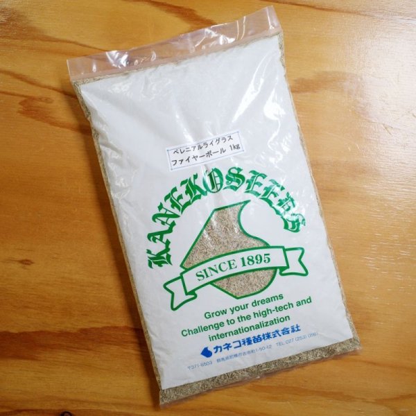 【西洋芝種子】ペレニアルライグラス|ファイヤーボール