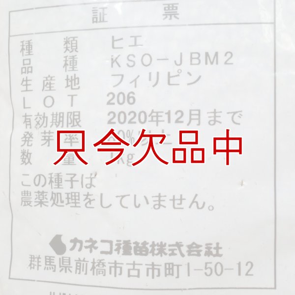 グリーンミレット｜栽培ひえ
