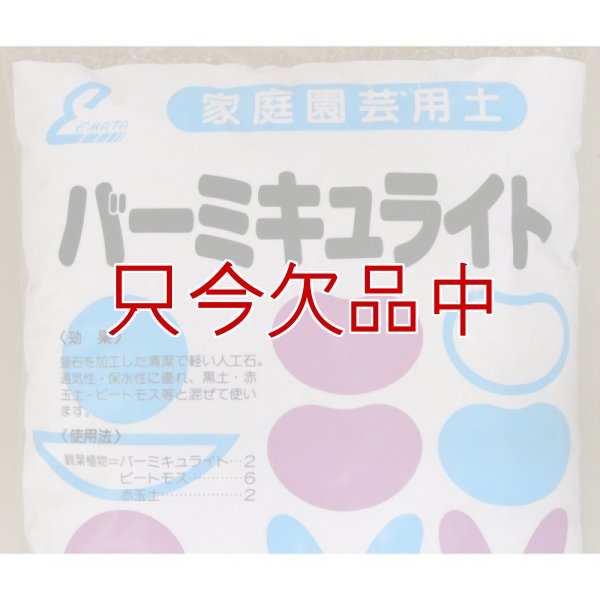 バーミキュライト【14L】ゴールド普通