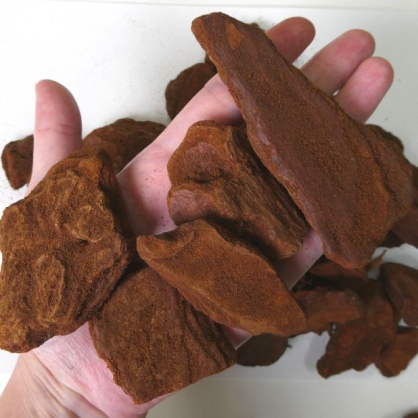 デコレーションバーク【L粒・6-10cm】