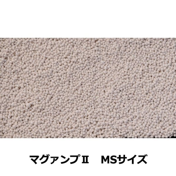 マグァンプII(MAGAMP 2)業務用【20kg】