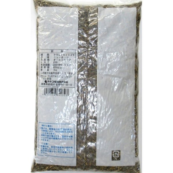 アウェナストリゴサ｜ニューオーツ