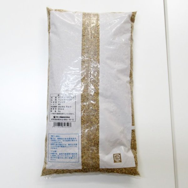 【牧草種子】オーチャードグラス|ベンチマークプラス(早生種)